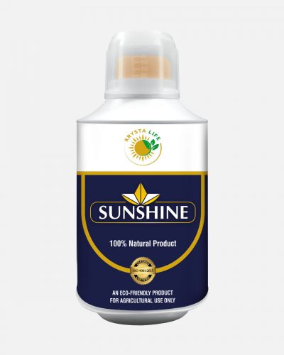 krystacrop_life-product_sunshine